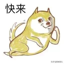 顺丰西北区,顺丰西北总部及电商产业园