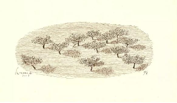 科尔伯,科尔伯山的日文罗马音