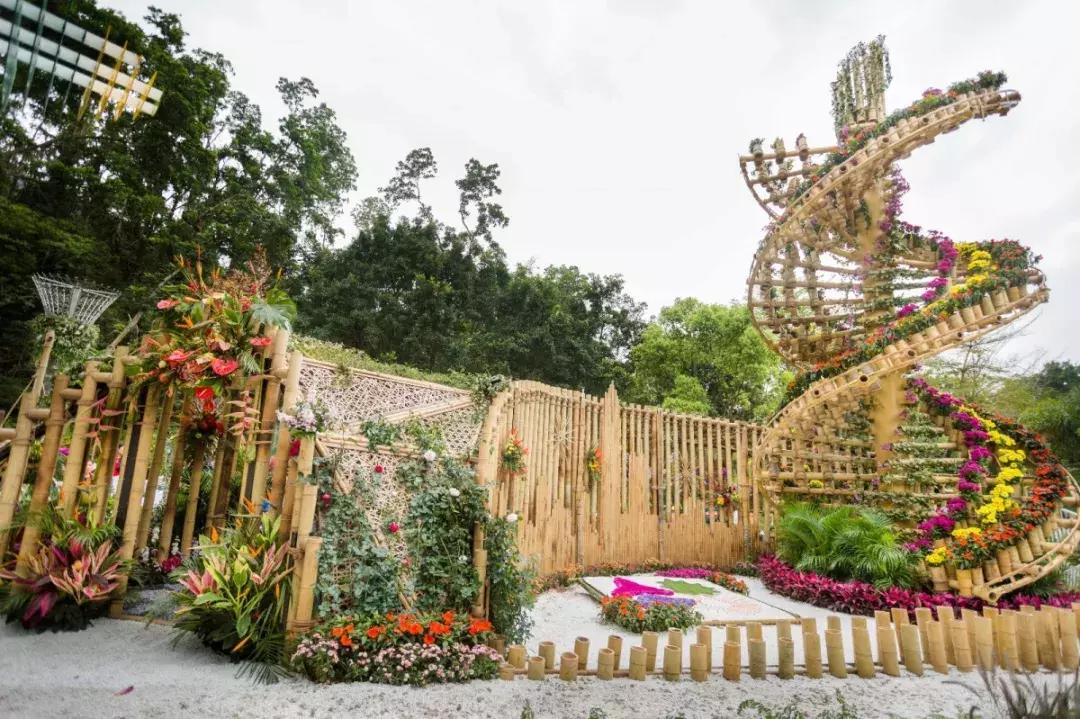 未来10天预警,深圳最最最最火的地方在这里,美女都赶来打卡