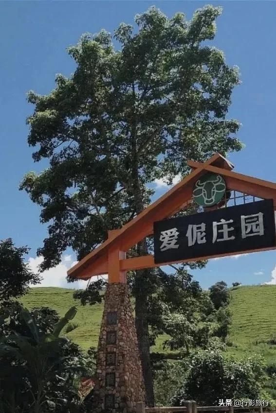 介绍一下云南的西双版纳,云南西双版纳的介绍景点