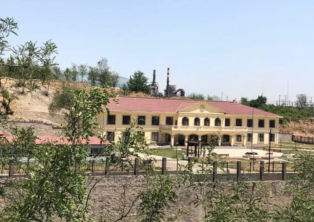 李利娟收留的孩子有拐卖的吗,收养孤儿李利娟