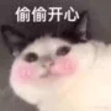 双流哪里可以赏花看飞机,双流附近赏花攻略路线