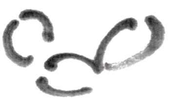 怎么画梅花和梅花树,写意画梅花的画法视频