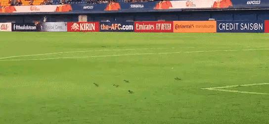 贺晓龙足协视频,国足名记贺晓龙发长文批评国足