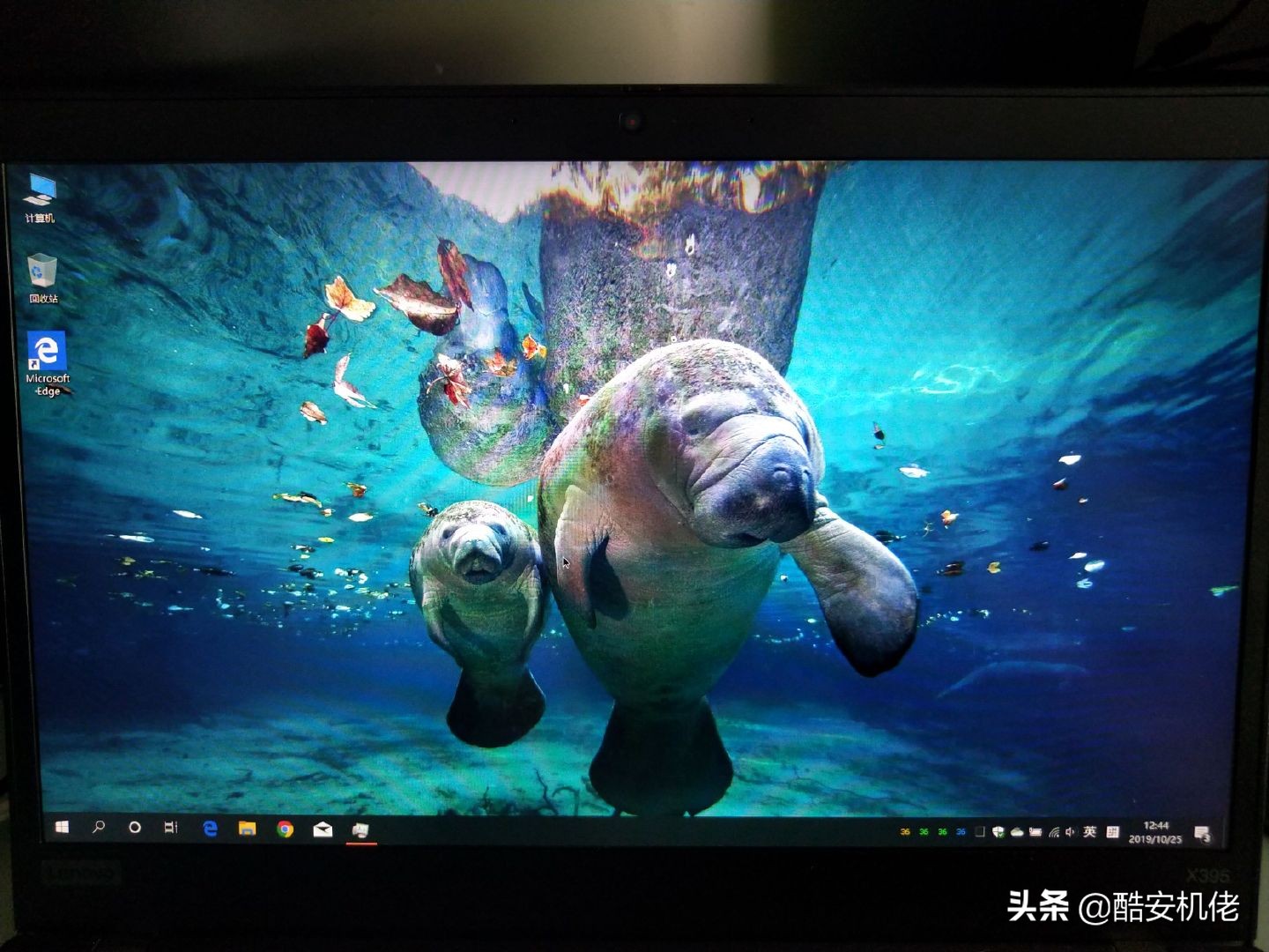 目前最具性价比二手thinkpad,现在最值得买的thinkpad是哪一款