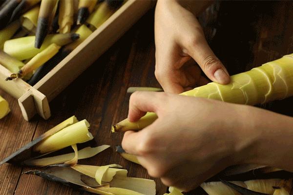 人吃的笋和大熊猫吃的笋一样吗,春笋是大熊猫吃的吗为什么