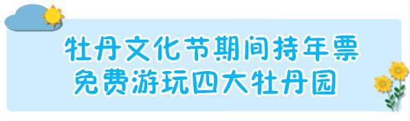 洛阳旅游年票嵩县在哪里办理,嵩县旅游年票价格表