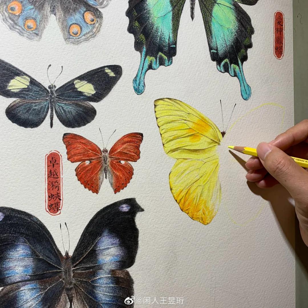 最强大脑王昱珩清华毕业后不上班,王昱珩上学经历