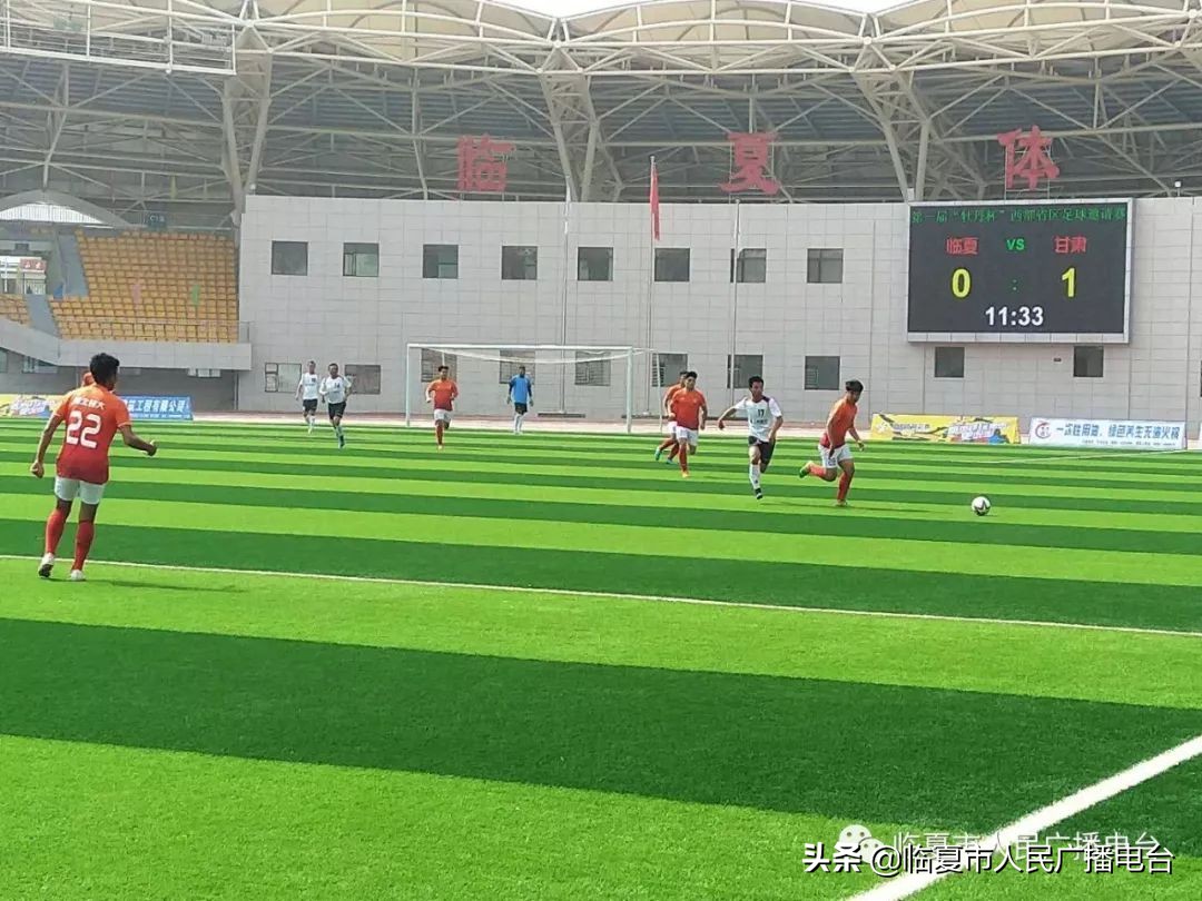 2021河州牡丹文化月系列活动,2019河州牡丹文化节