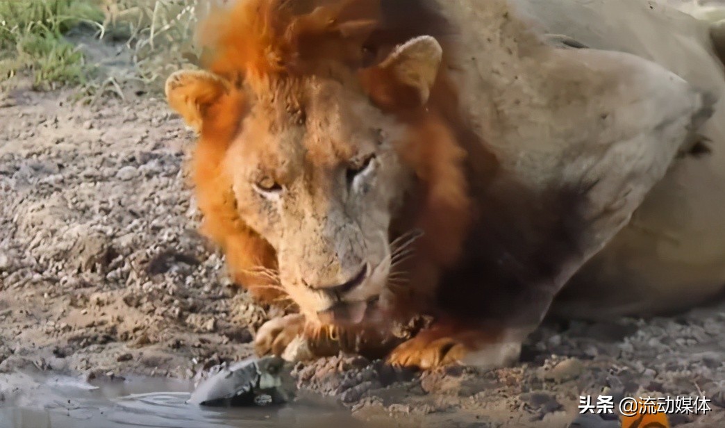 世界上最抠门的男人是谁,世界上最抠门的男子