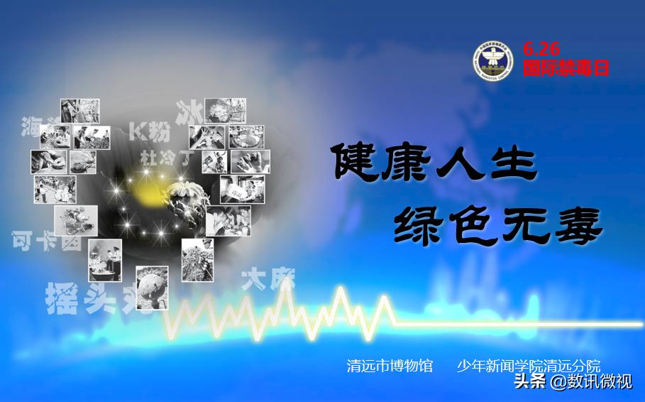 国际禁毒日开展销毁毒品系列活动,禁毒日开展情况