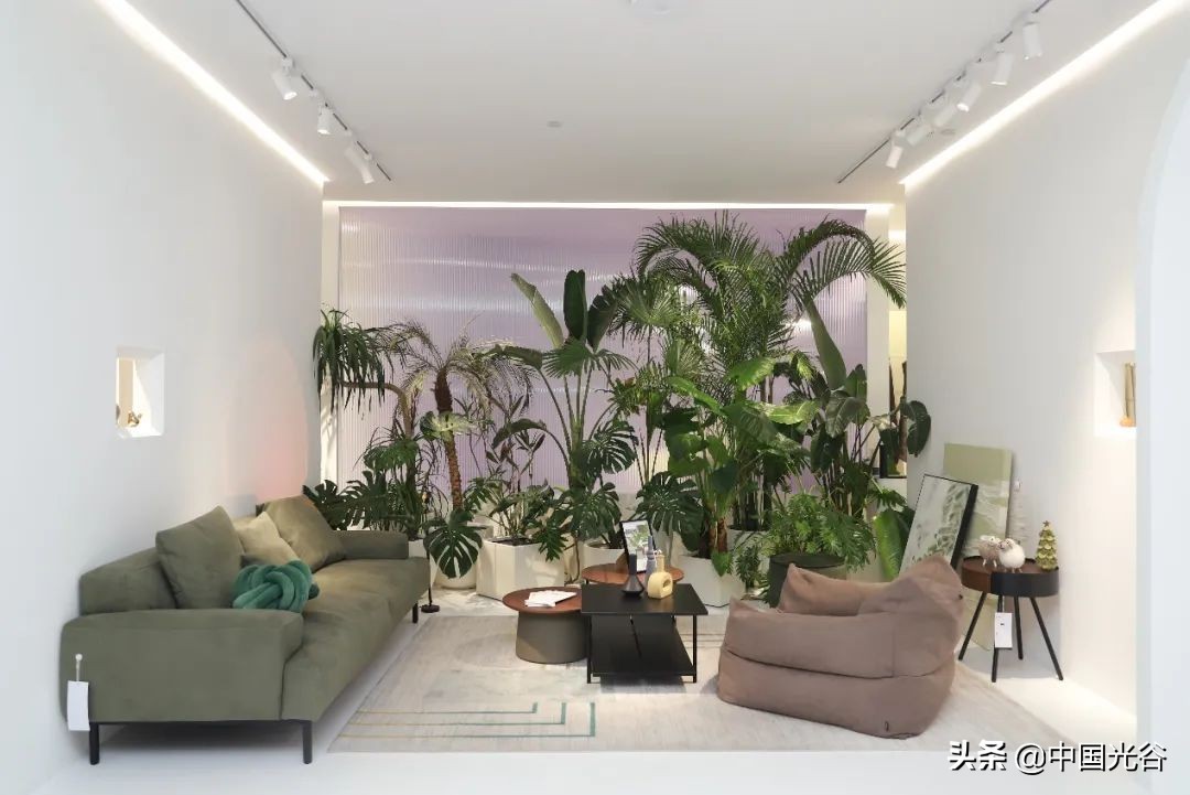 光谷这位“90后”CEO获评“胡润30岁以下中国创业领袖”，创业3年企业估值过亿