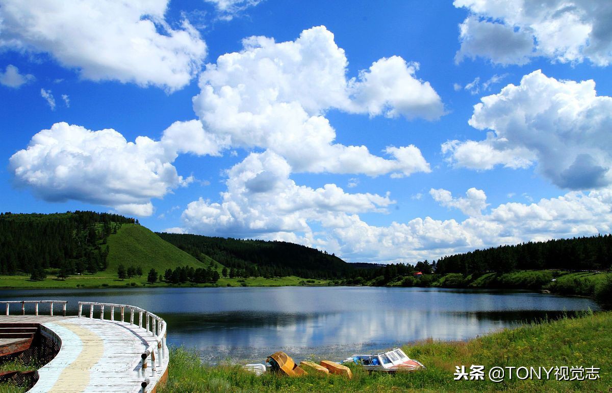 佳能相机新手推荐哪一款,尼康佳能单反哪款最好