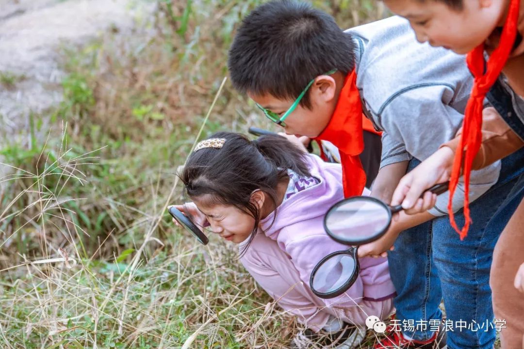 翻地、播种…无锡老小将课堂搬到了田间地头