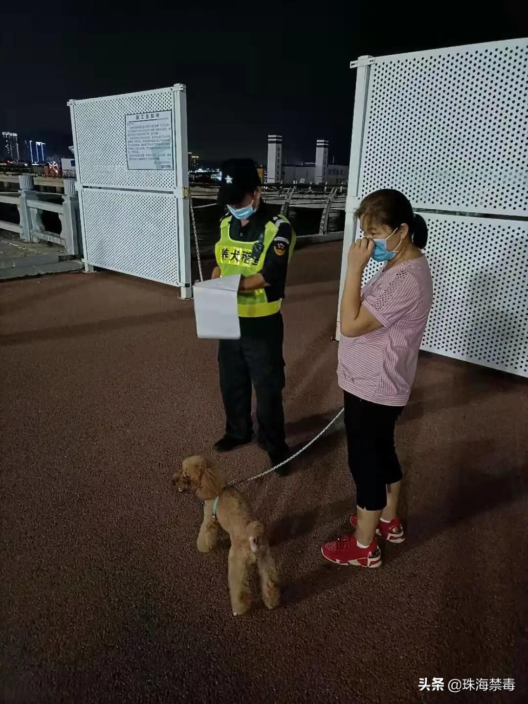 铲屎官文明养犬这些规定要牢记,各地限养犬