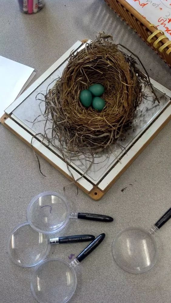 100种创意树枝,幼儿园手工装扮树枝