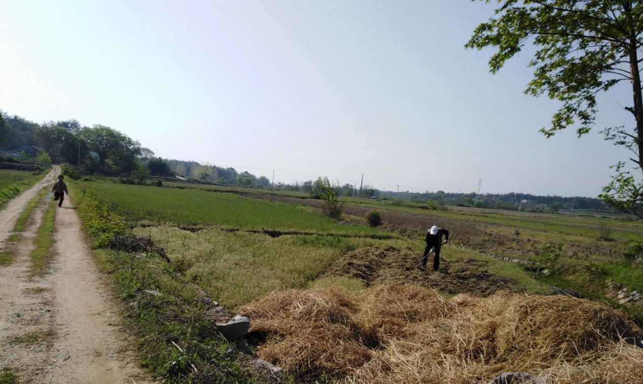 金钥匙给农民打开致富之门,产业扶贫加速贫困群众奔小康