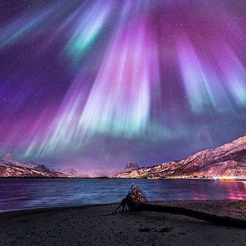 秋冬美甲小红书,美甲推荐中款ins