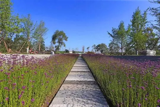 前所未有开新篇成都建设大美公园城市