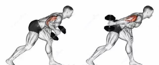 肌肉男神高颜值,肌肉男神健美