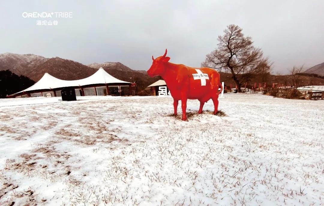 回望2020海坨耕耘路,以待2021山谷新美好