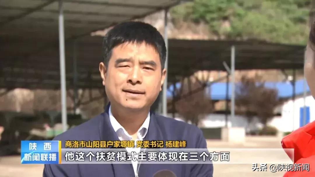 商洛山阳县这帮人对牛粪做了啥?竟比纯养牛多挣了10倍!