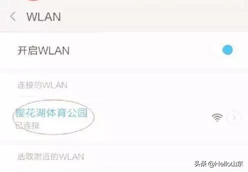 樱花湖在哪里,美丽樱花湖美景