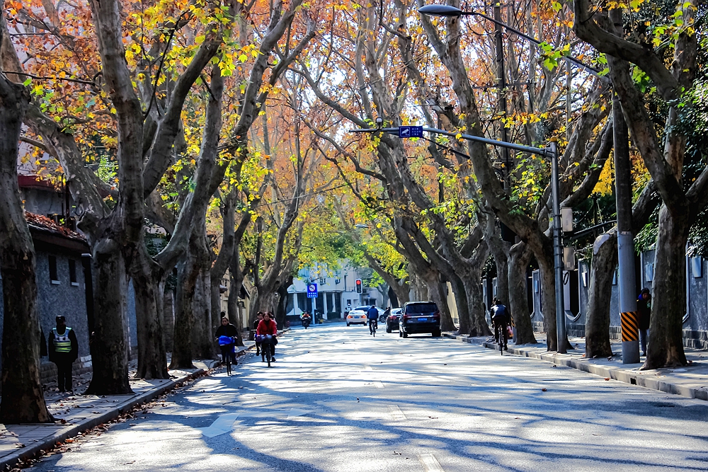 行走老上海全攻略,上海原法租界徒步一日游