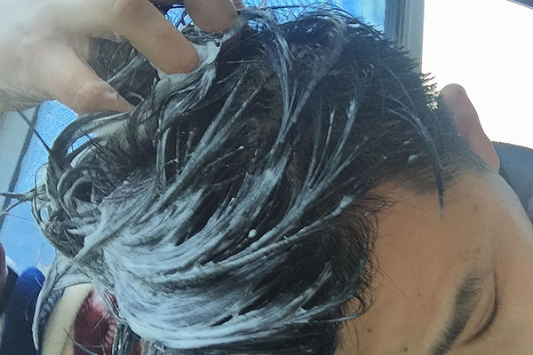 剪发虫会带来什么危害,为什么会出现剪发虫