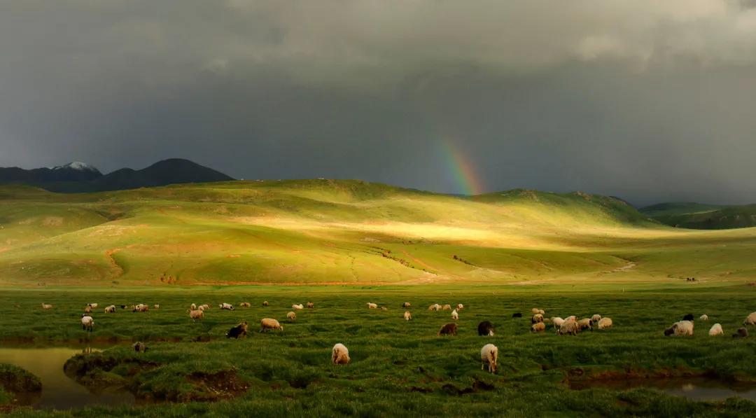 发展为宫颈癌需要哪几个步骤,当得知自己得了宫颈癌