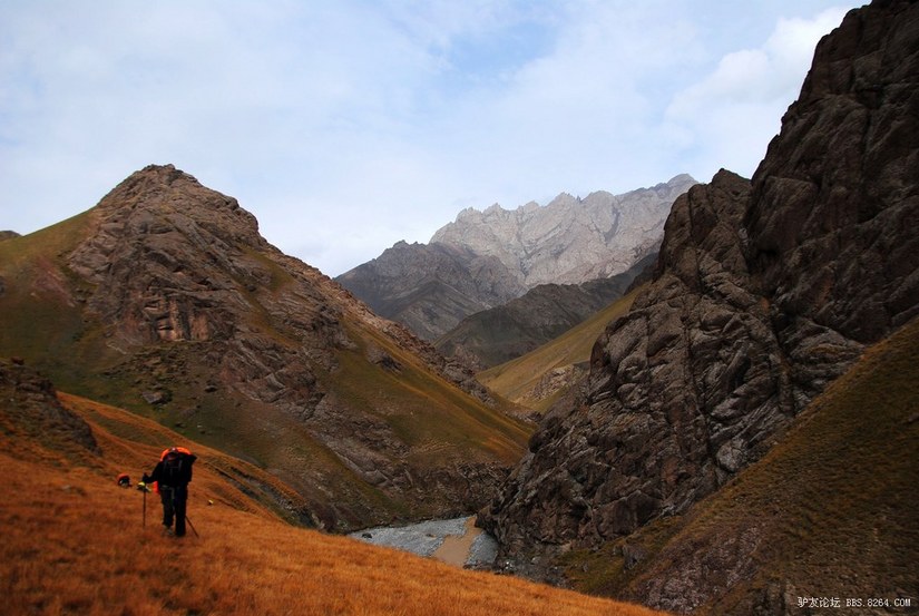 狼c调简谱教唱,狼c