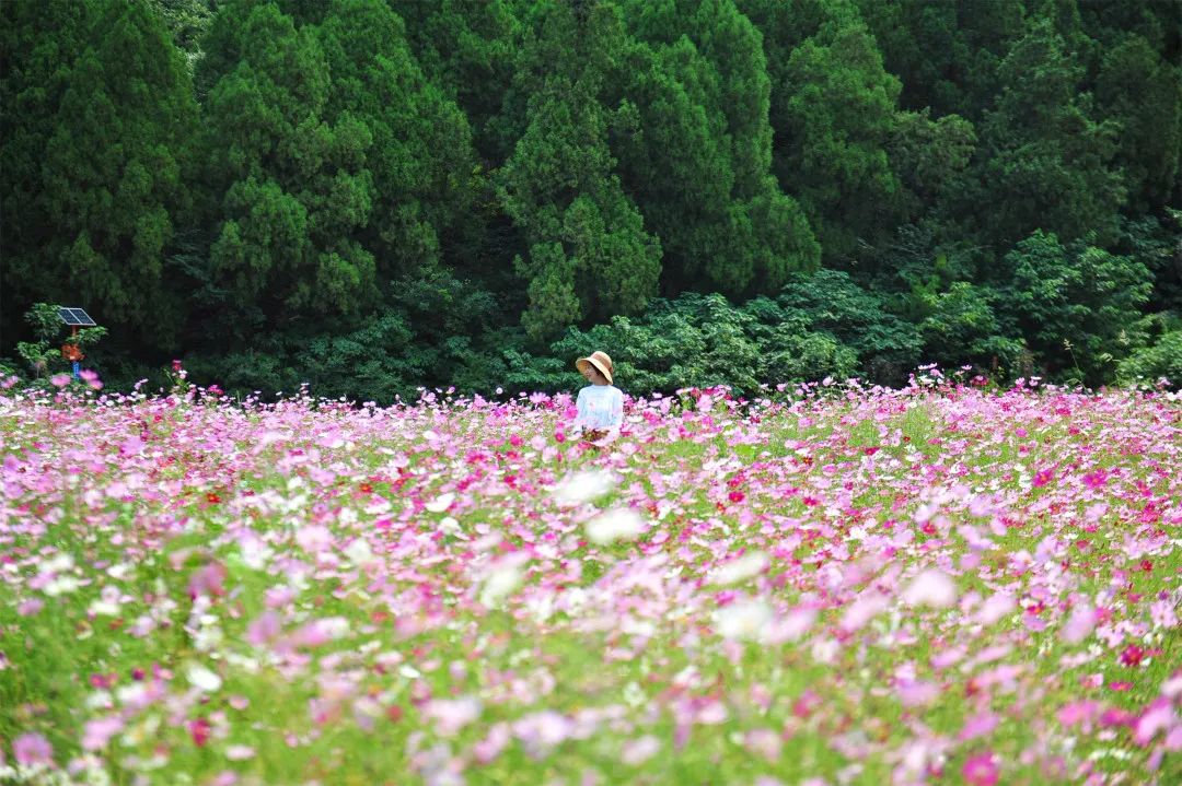 济南必去网红打卡地,济南网红打卡地经三纬三