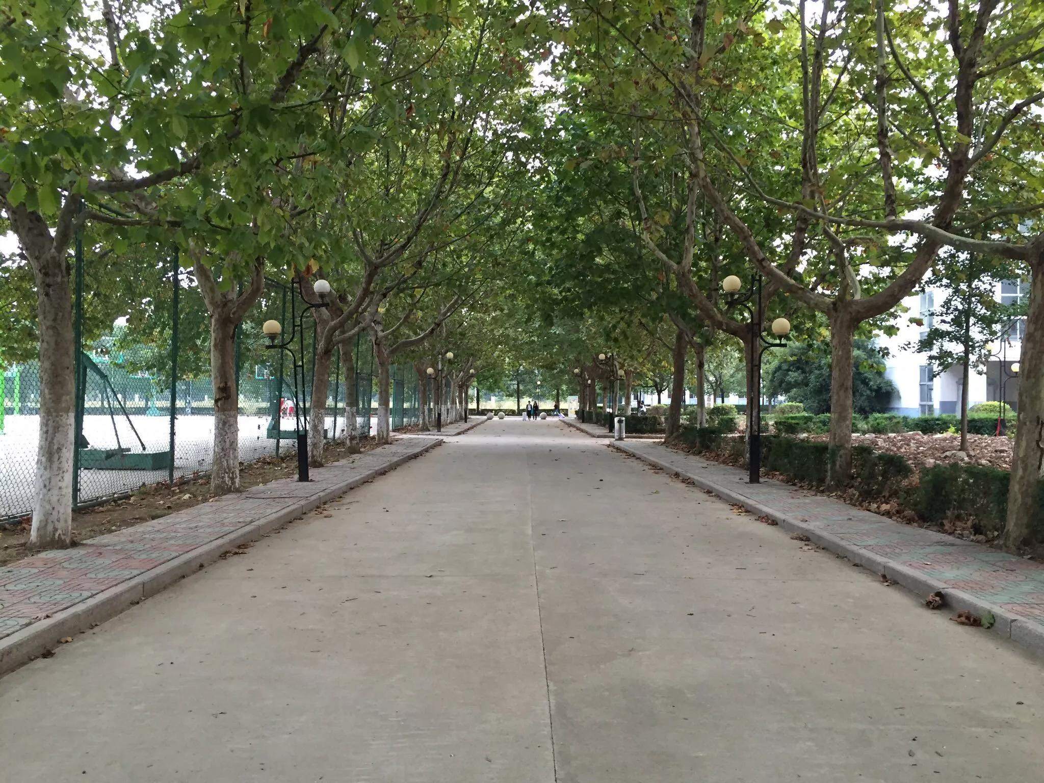 江苏省高校(六十)南京理工大学紫金学院