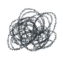 大连扇贝一年四季都有吗,大连的小扇贝叫什么