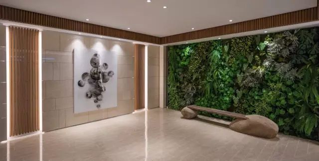 真正的豪宅车库,这样考虑