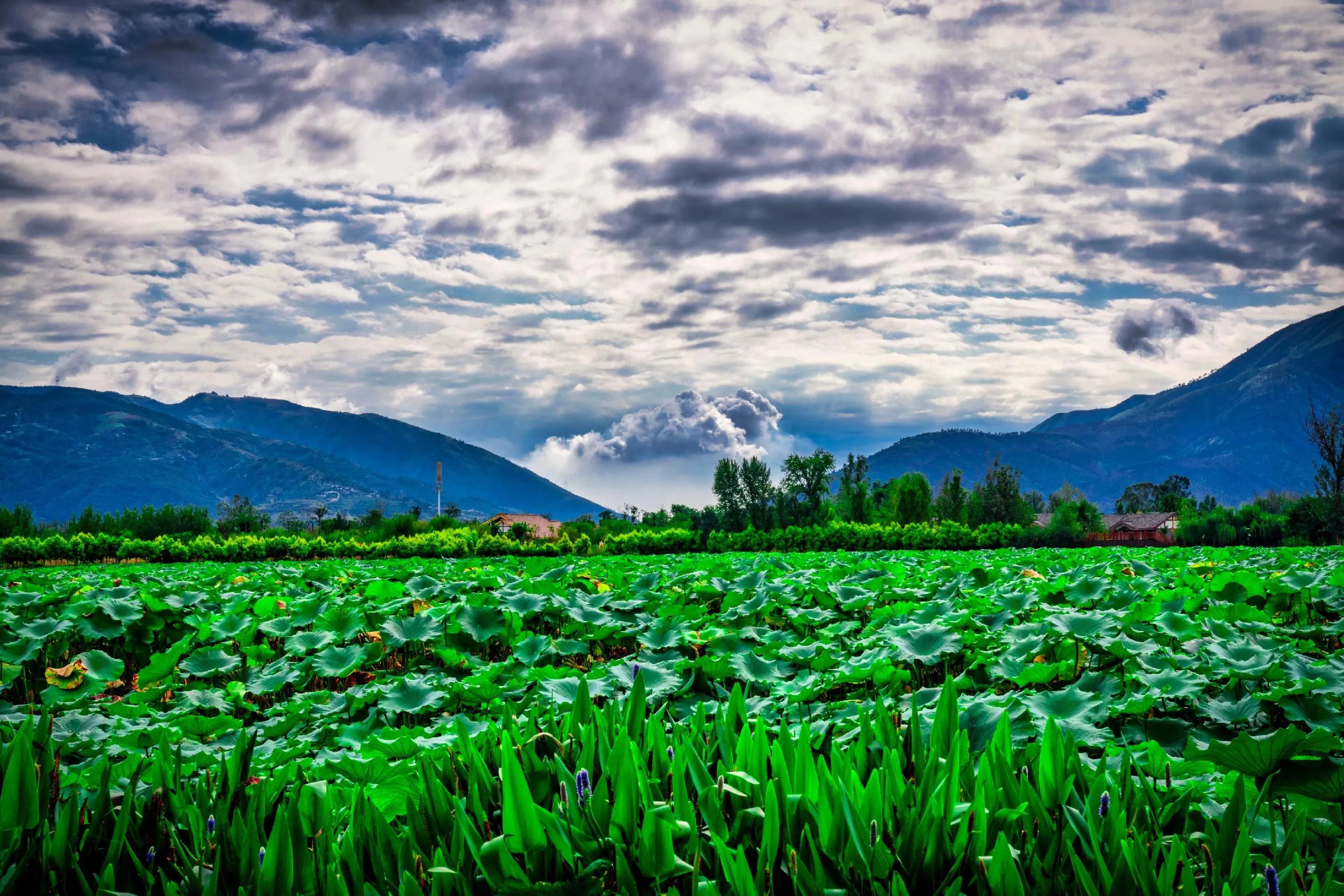 西昌邛海湿地公园旅游攻略,成都到西昌邛海自驾游攻略