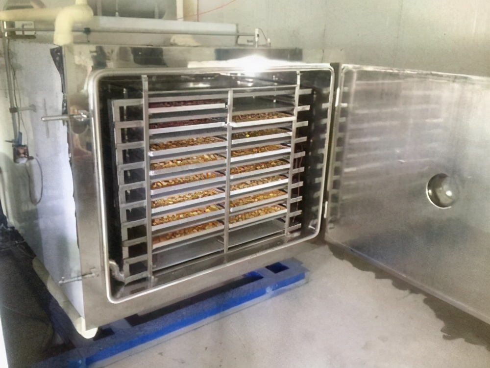 小型烘干设备水果烘干机,自动化加工水果烘干设备