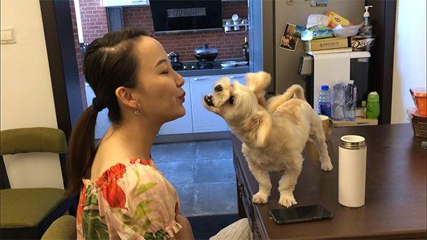 第一只克隆犬,花25万克隆宠物猫克隆商机有多大