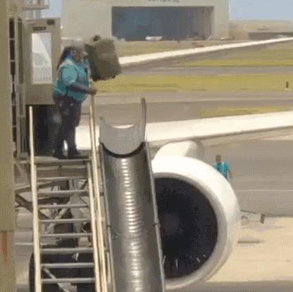 叮,你的开学行李箱已送达,请查收