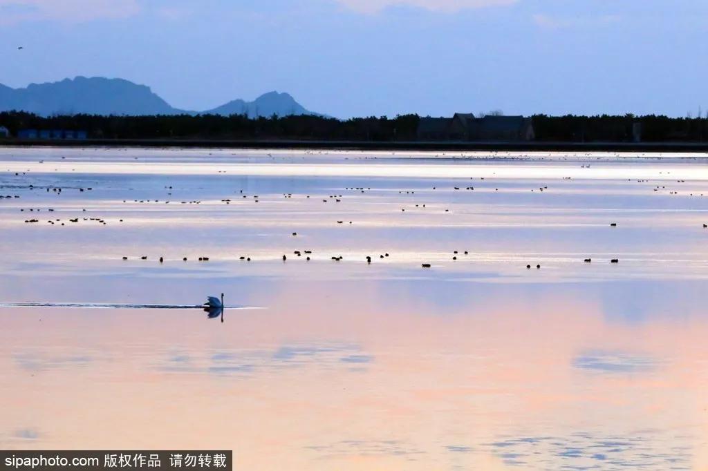 适合冬天去的北方小众海边,北京最近的两日海边旅游适合赶海