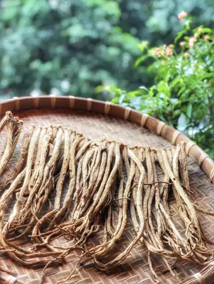 澶х編鏂囧幙,澶х編鐢樿們鏂囧幙