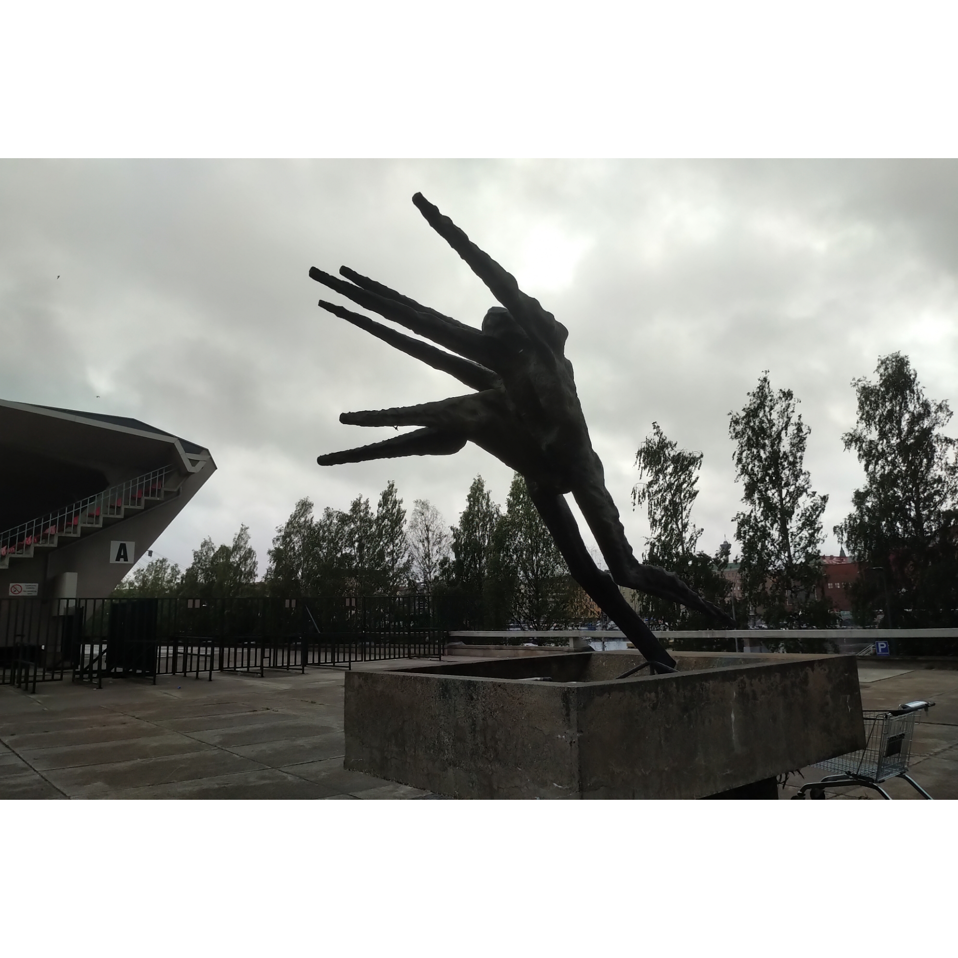 芬兰足球创历史首次进入欧洲杯正赛,一些芬兰足球的个人直接感受