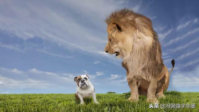 如何跨越平台期,如何跨省点外卖