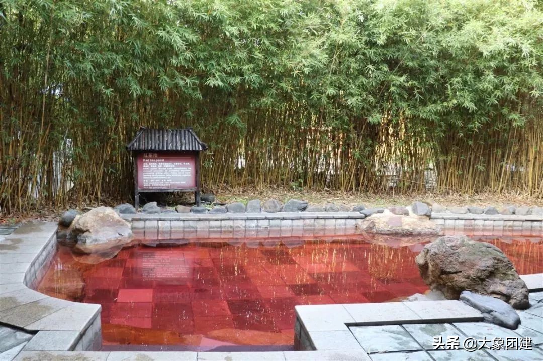 森波拉度假森林酒店,原始森林里的酒店