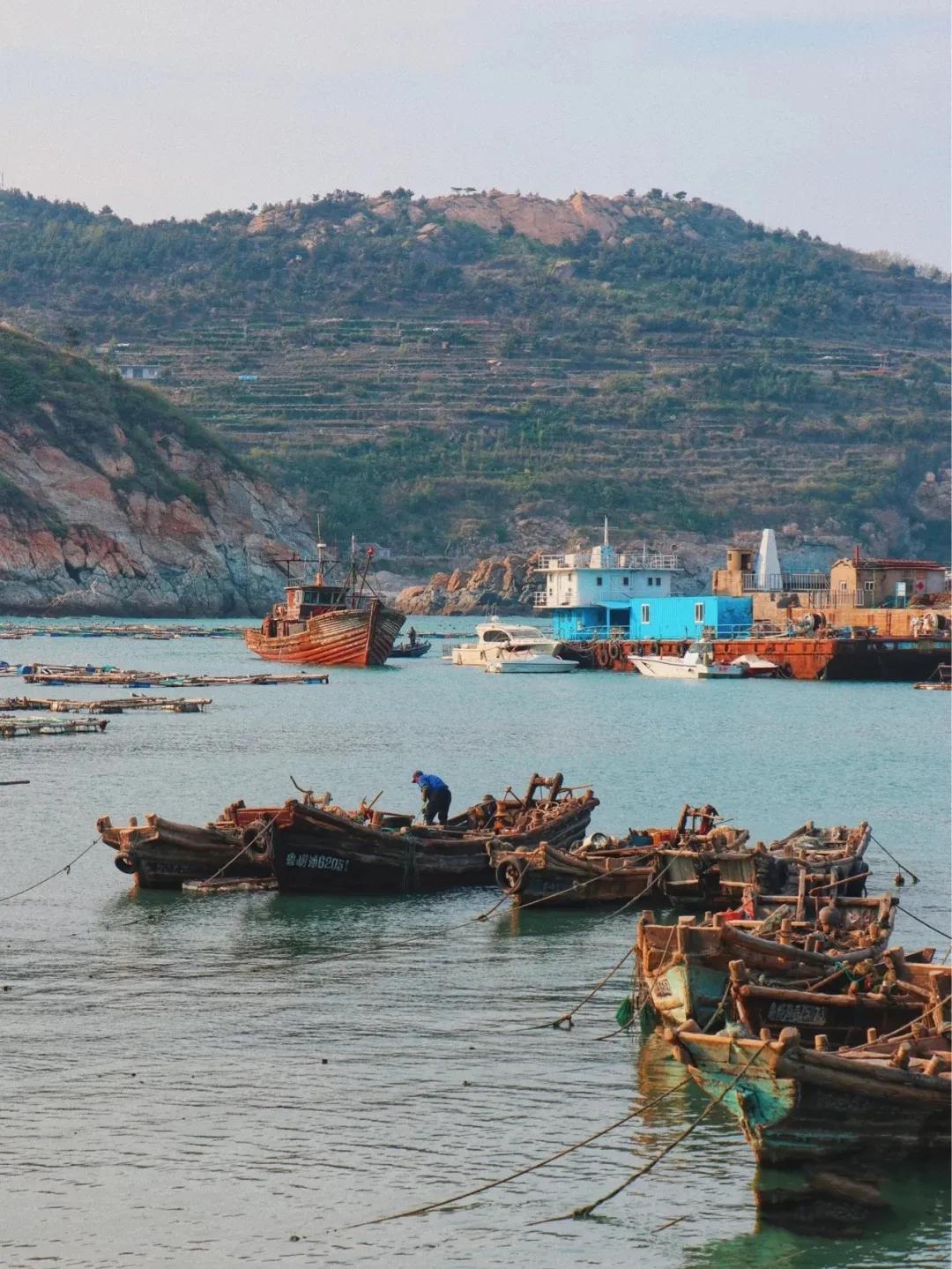 青岛景点春节免费开放通知,青岛六十岁老人去哪些景点免费