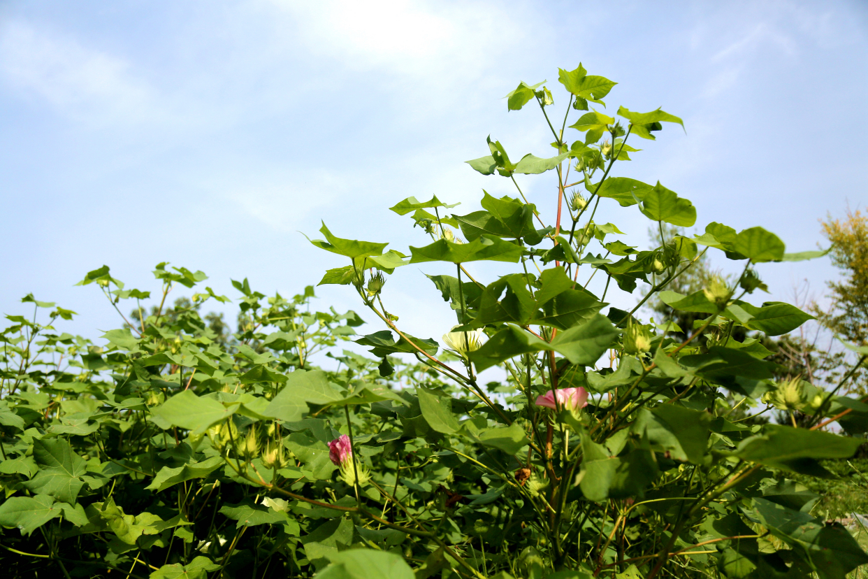 北京最大户外温泉,北京面积最大的温泉