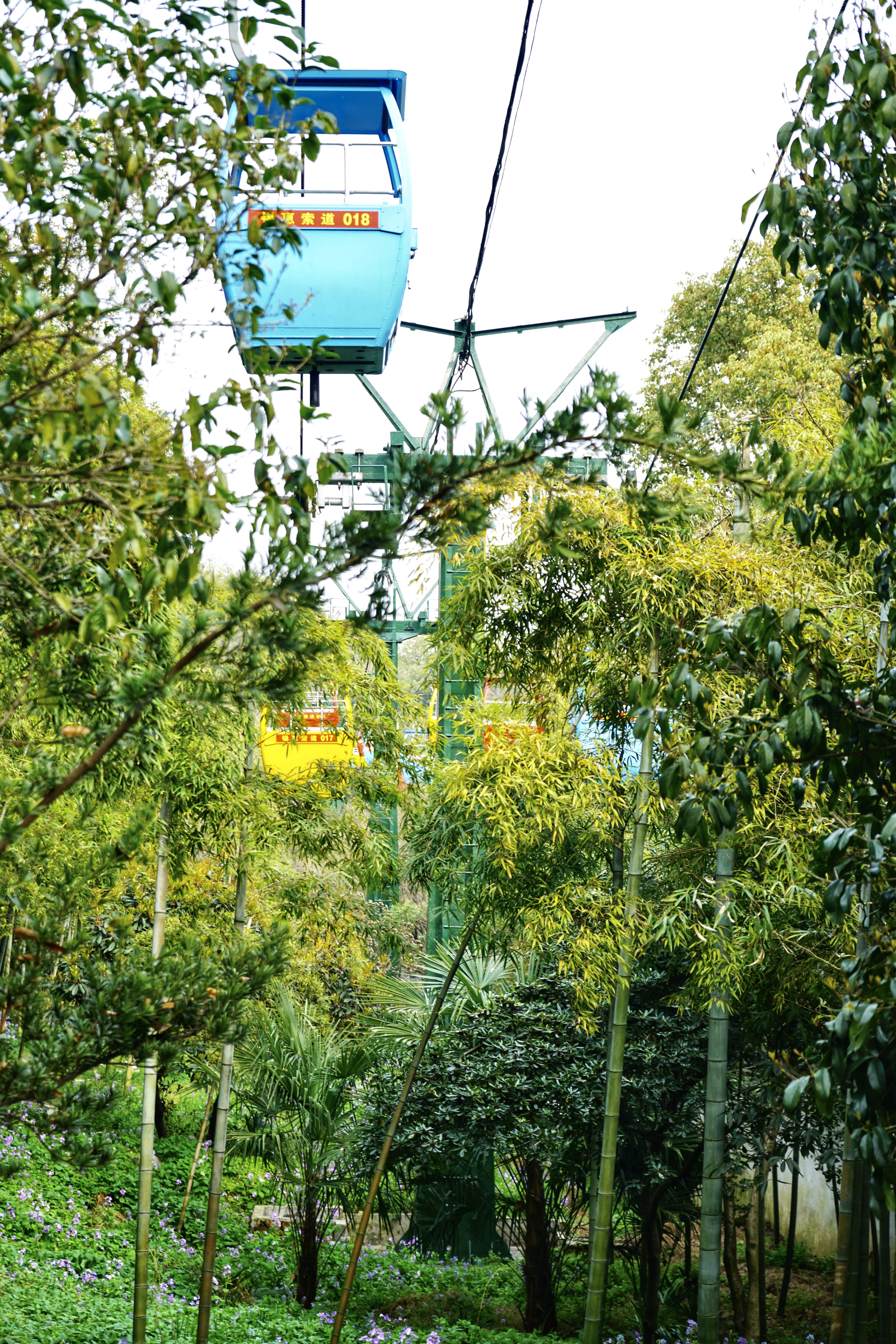 无锡惠山京杭大运河,惠山古镇古运河