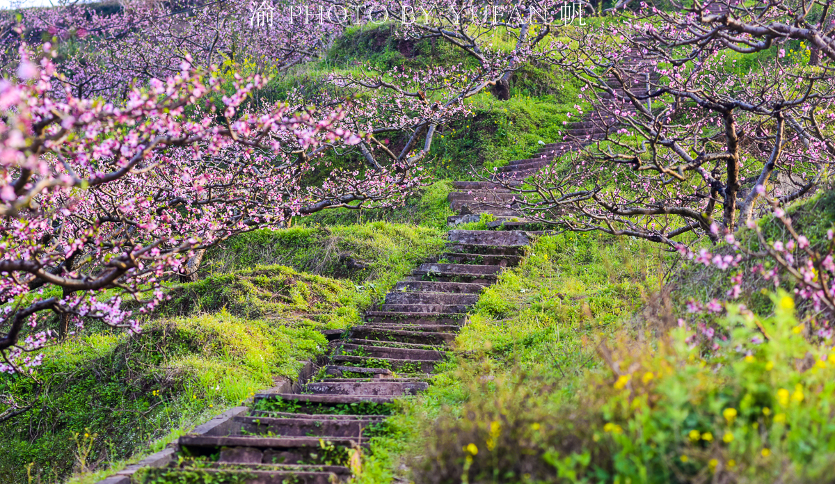 潼南桃花山景区,潼南春游踏青最佳地