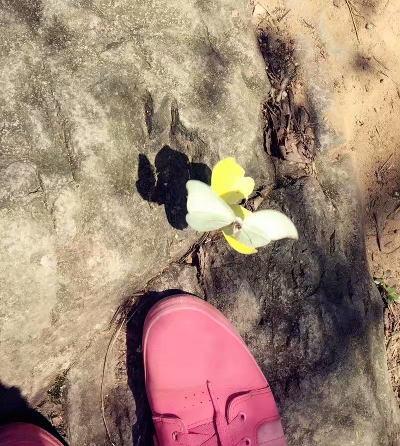 浙江的“青藏高原”在哪里？一起去浙西大峡谷探秘吧！