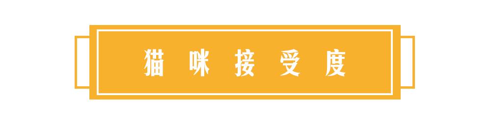 如何改善猫咪的口臭吃什么,铲屎官如何搞定猫咪的坏脾气